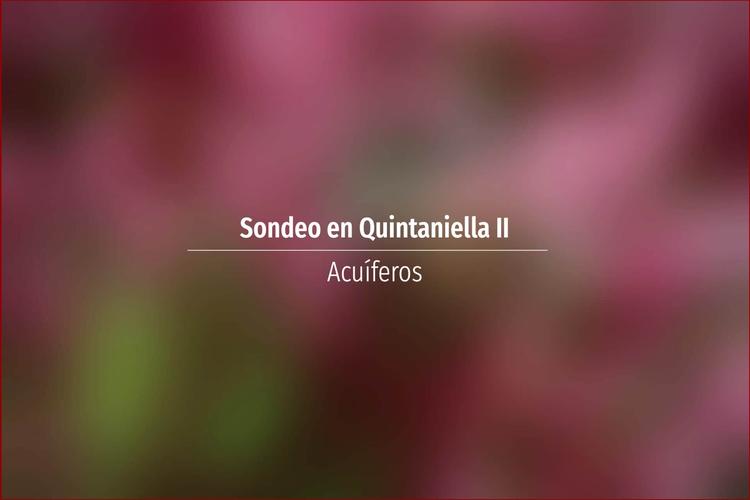 Sondeo en Quintaniella II