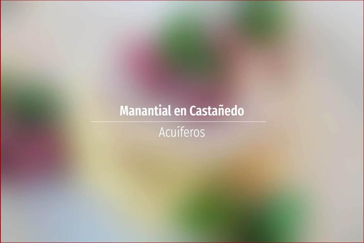 Manantial en Castañedo