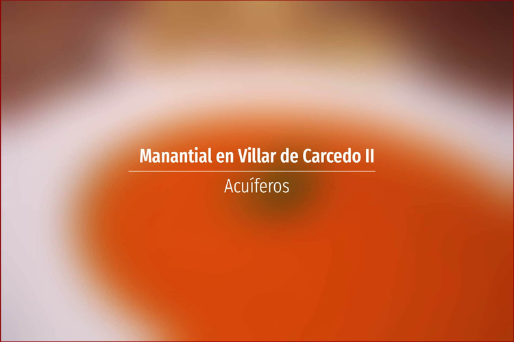 Manantial en Villar de Carcedo II