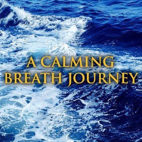 A Calming Breath Journey