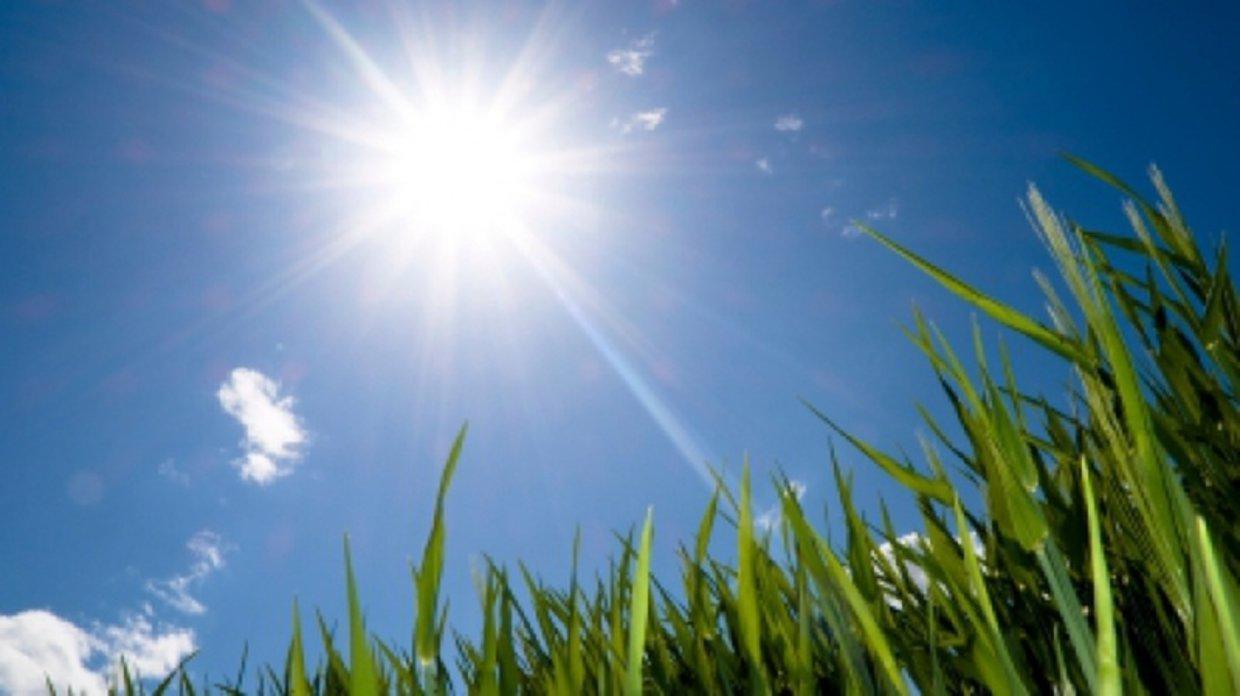 Ветровит петък с температури до 21°