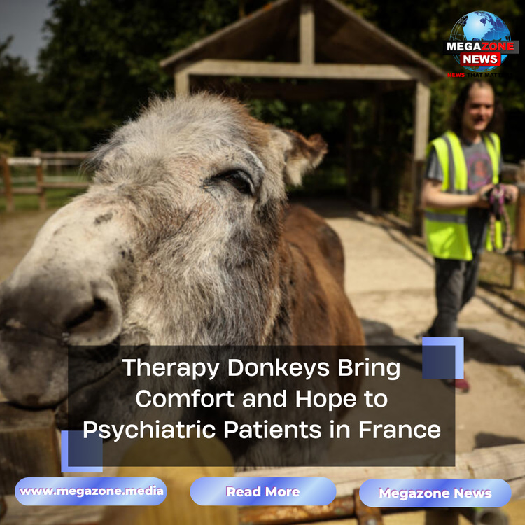 Therapy Donkeys Bring Comfort and Hope to Psychiatric Patients in France