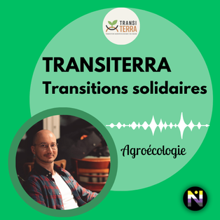 TransiTerra, Transitions solidaires