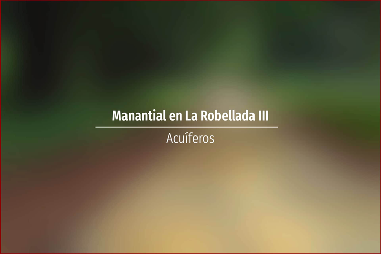 Manantial en La Robellada III