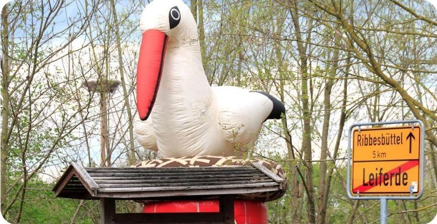 Storchenfest in Leiferde: Das NABU-Artenschutzzentrum lädt am 26.4.26 zum Entdecken und Informieren ein