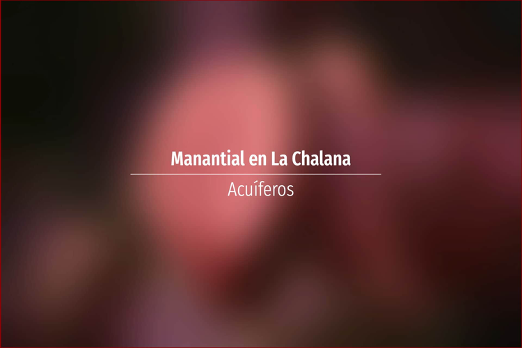 Manantial en La Chalana