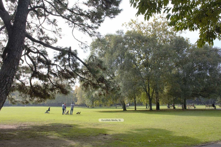 Parque de Ferrera