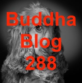 288-Dankbarkeit-Buddha Blog Podcast - Buddhismus im Alltag