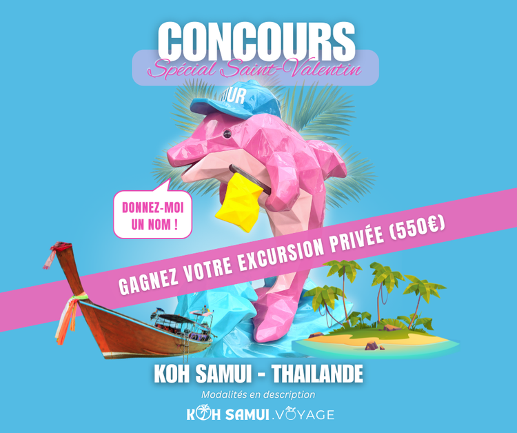 Concours Koh Samui : Nommez notre Dauphin Rose et gagnez une excursion privée !