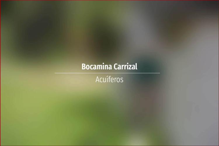 Bocamina Carrizal