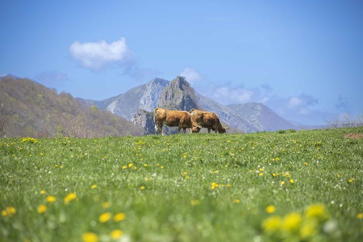 Agricultura y ganadería en la Asturias romanizada