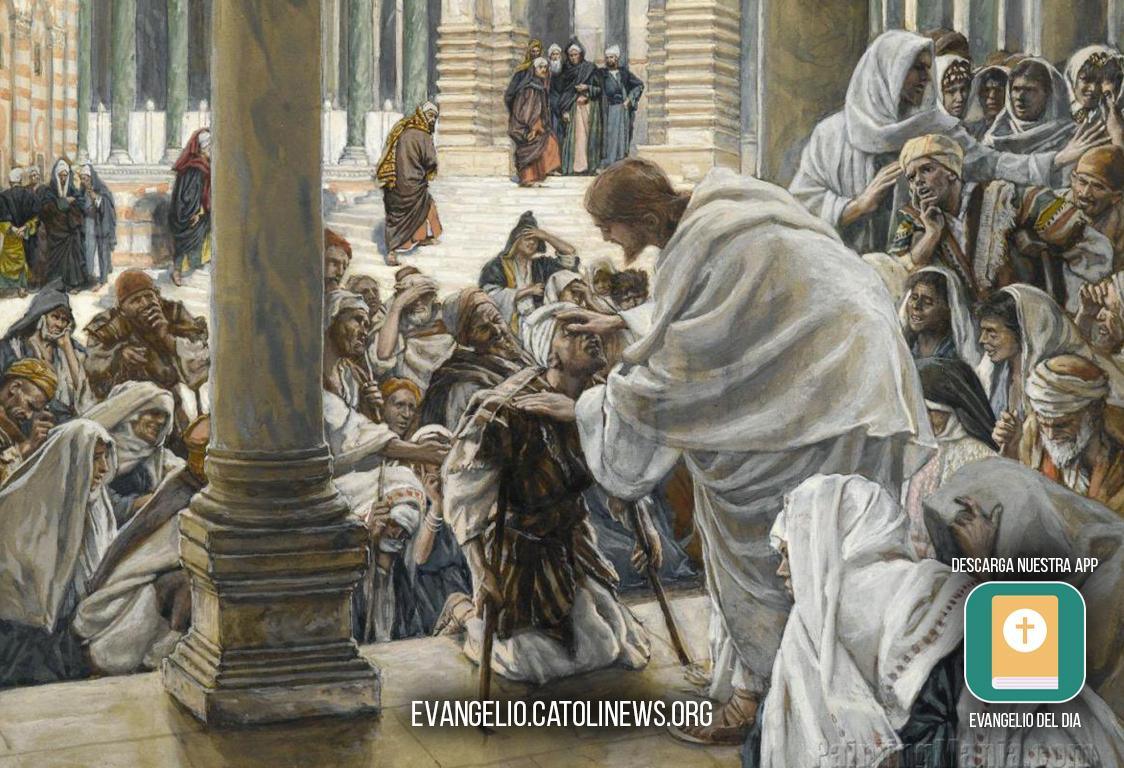 Meditación al Evangelio del Sábado 18 de Julio de 2026