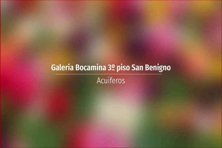Galería Bocamina 3º piso San Benigno