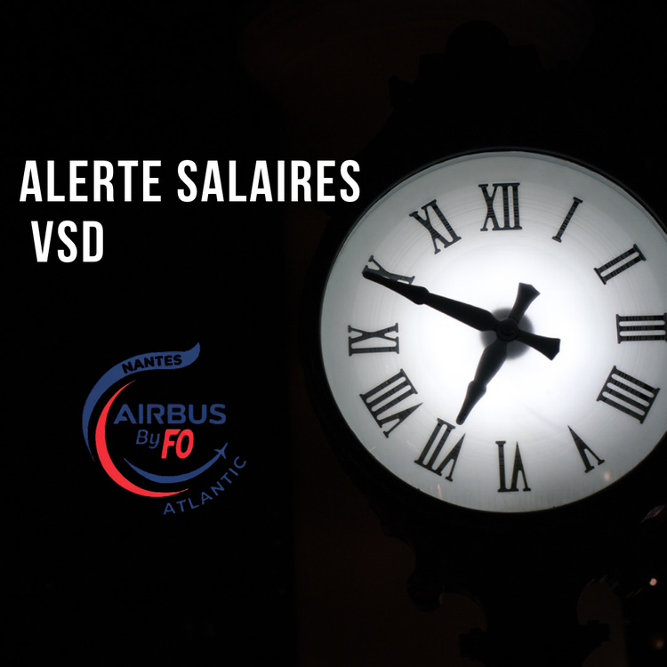 Alerte Salaires VSD 