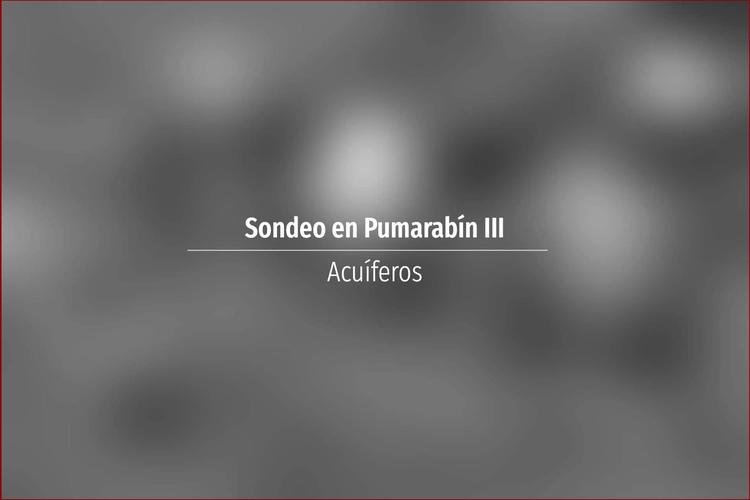 Sondeo en Pumarabín III