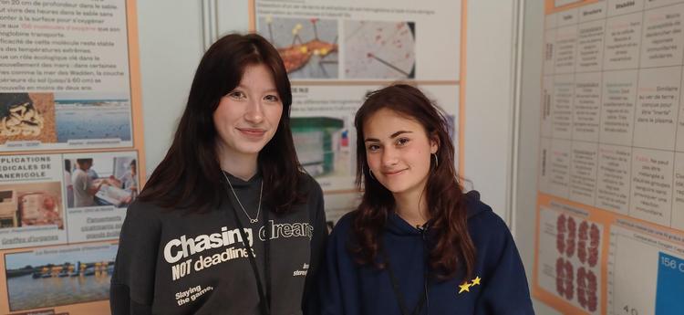 Projet 41: Le sang universel : le potentiel thérapeutique de l'Arenicola Marina