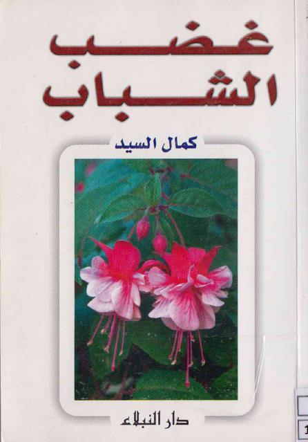 غضب الشباب