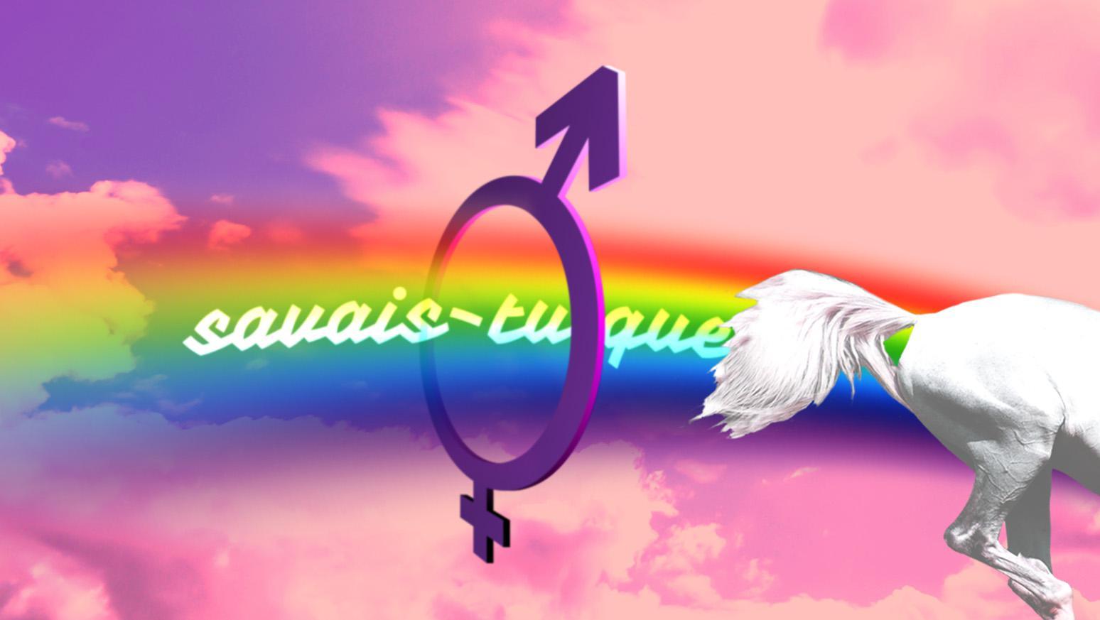 SAVAIS TU QUE Le diagramme de la licorne du genre SAVAIS TU QUE Le diagramme de la licorne du genre