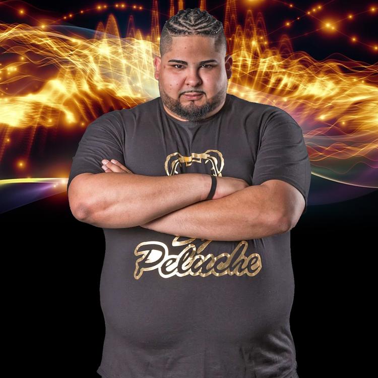 DJ Peluche - Tipico Vol. 2