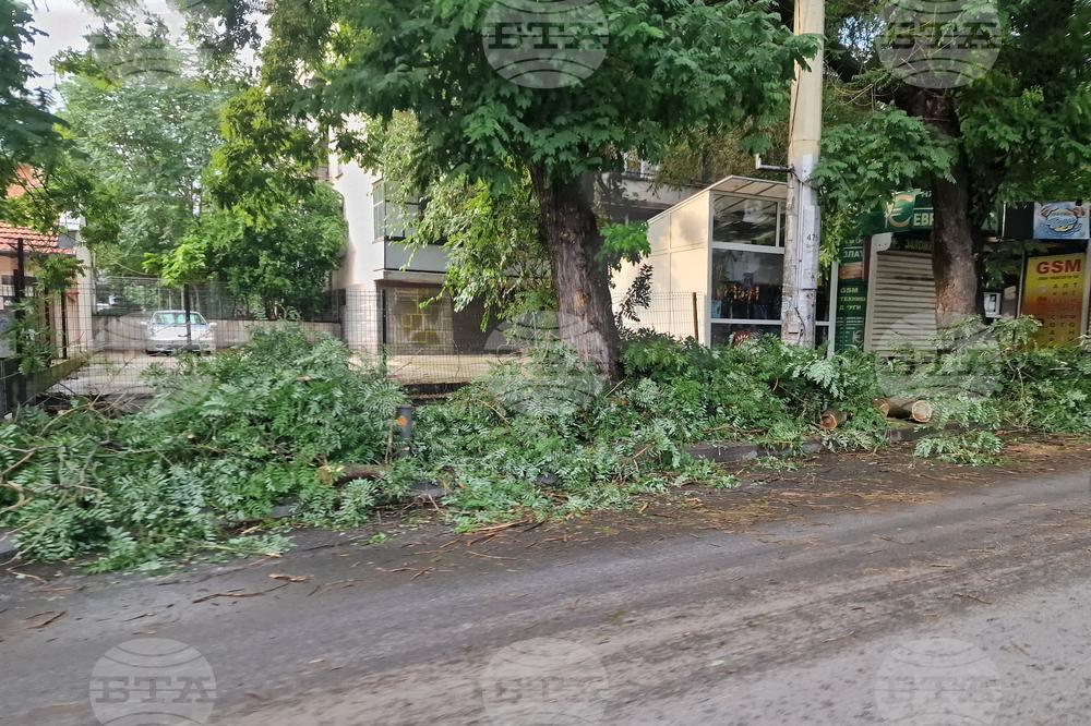 Екипите на Община Стара Загора обработват всички сигнали след бурята в града, няма данни за пострадали