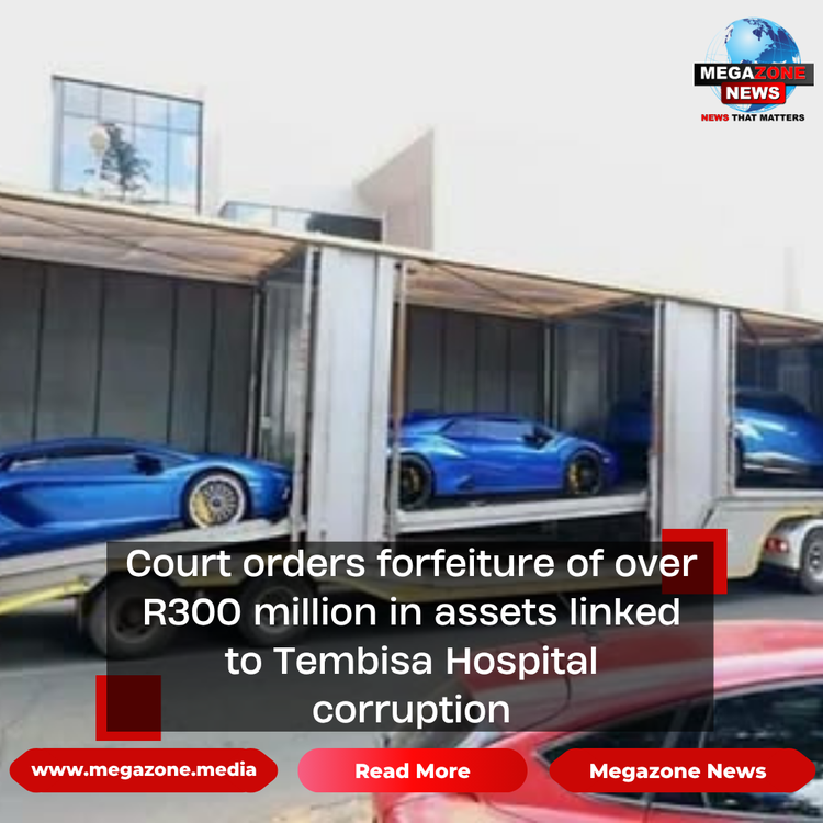 Court orders forfeiture of over R300 million in assets linked to Tembisa Hospital corruption