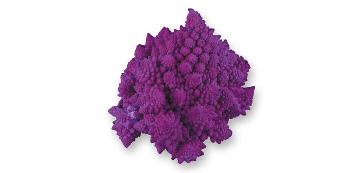 Cavolfiore Romanesco Viola