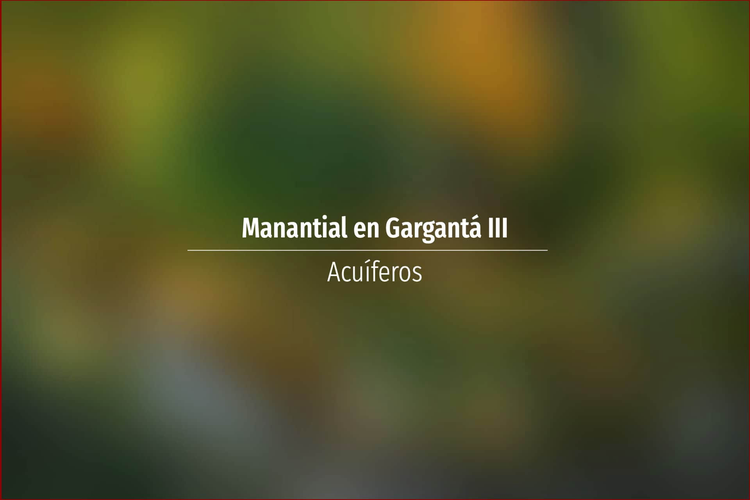 Manantial en Gargantá III