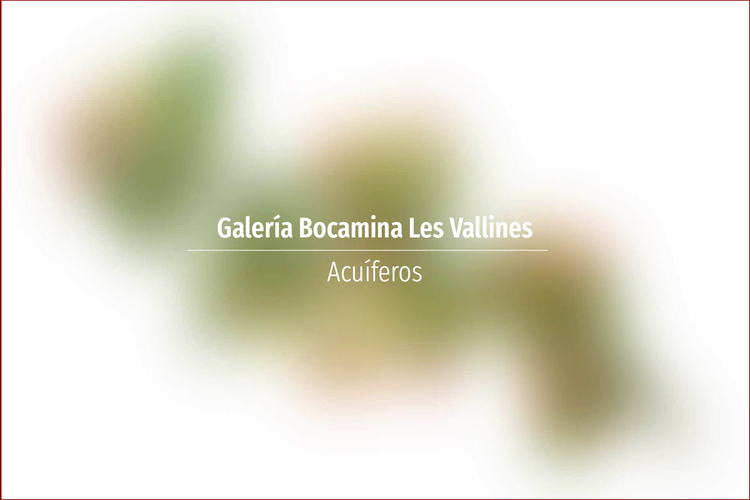 Galería Bocamina Les Vallines
