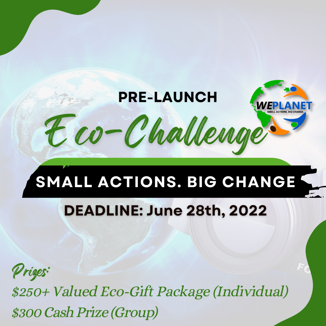 Pre-Launch:Eco-Challenge