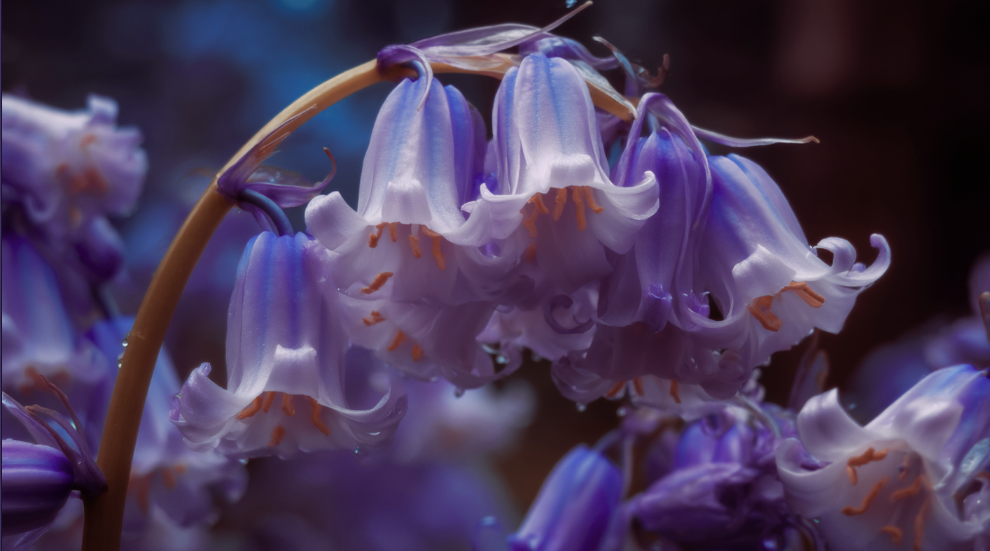 The astrological energies of May 2026