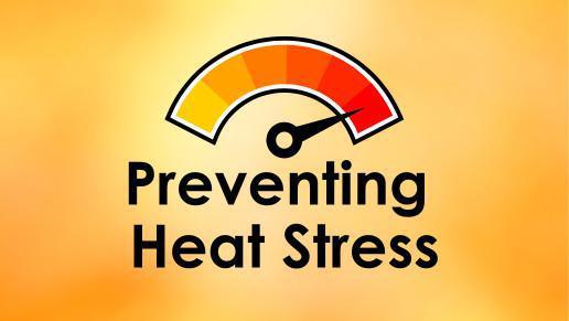 Preventing Heat Stress | Continue to beat the heat with these tips