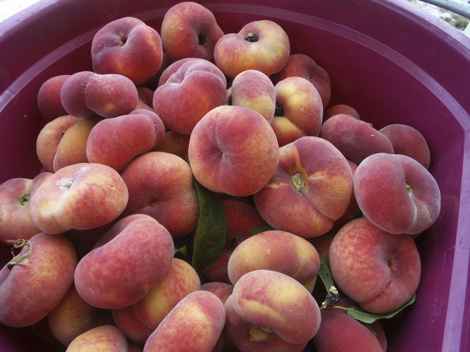 Experience Agritourism This Summer!