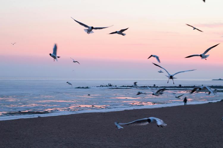 Integração e transformação do luto