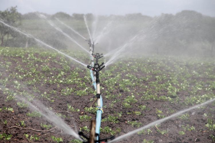 El sureste de Gran Canaria renueva su pacto del agua depurada: 1,6 hm³ al año para regar