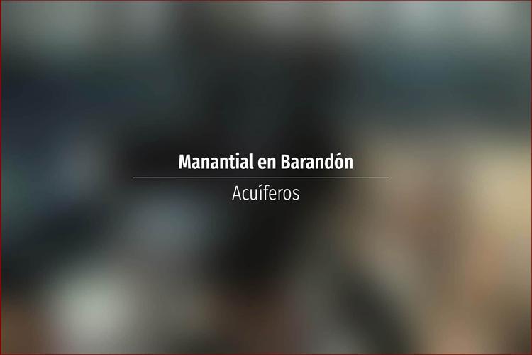Manantial en Barandón