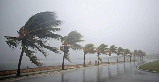 Suportando o temporal!