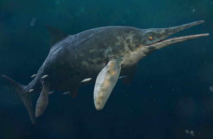 RUTLAND SEA DRAGON IS ONE OF BRITAIN’S GREATEST PALAEONTOLOGICAL DISCOVERIES