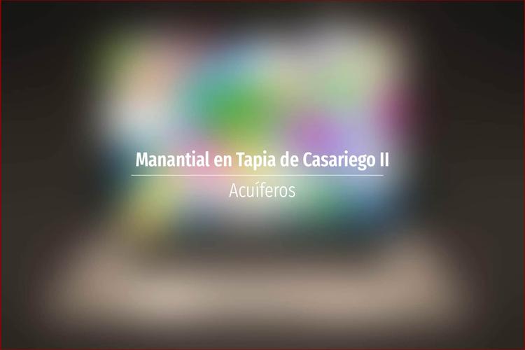 Manantial en Tapia de Casariego II
