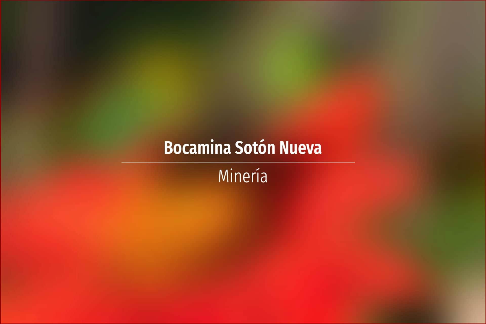 Bocamina Sotón Nueva