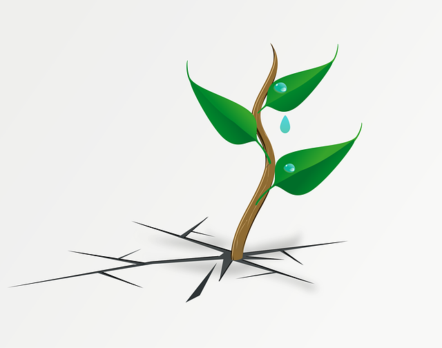 RESILIENCE & MINDFULNESS