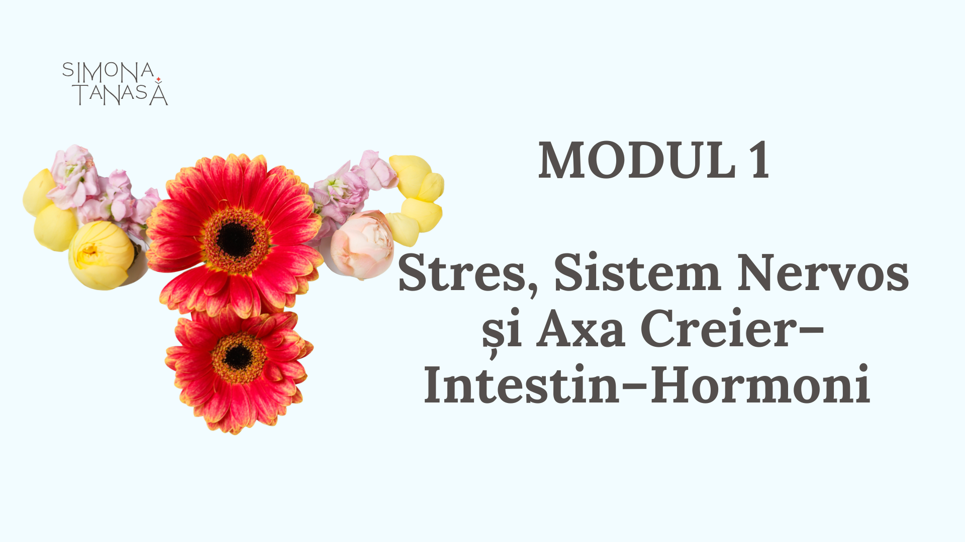 Modul 1: Stres, Sistem Nervos și Axa Creier–Intestin–Hormoni