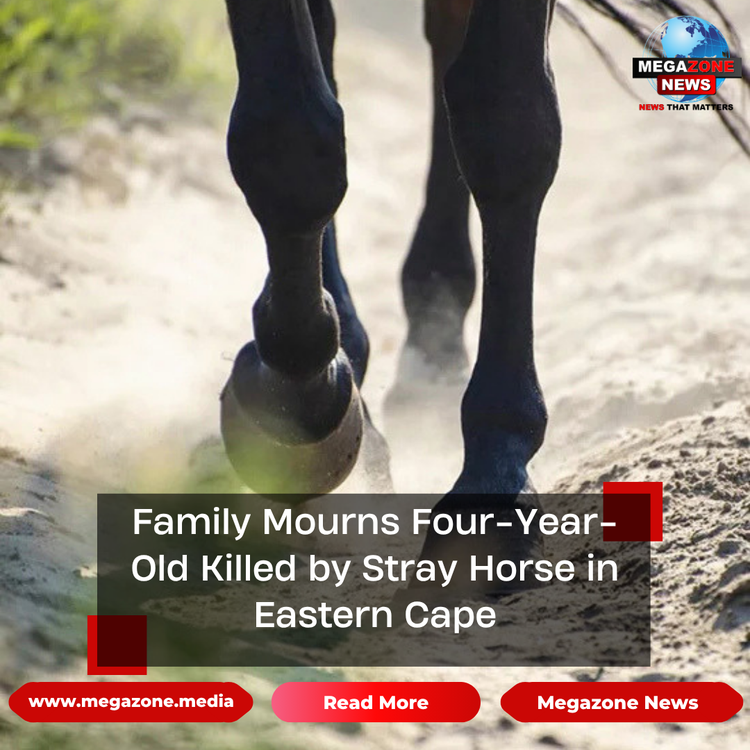 Family Mourns Four-Year-Old Killed by Stray Horse in Eastern Cape