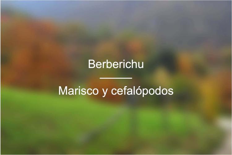 Berberichu