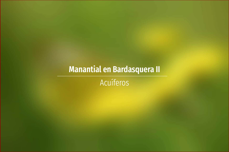 Manantial en Bardasquera II