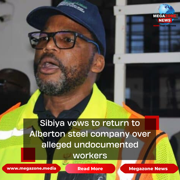 Sibiya vows to return to Alberton steel company over alleged undocumented workers