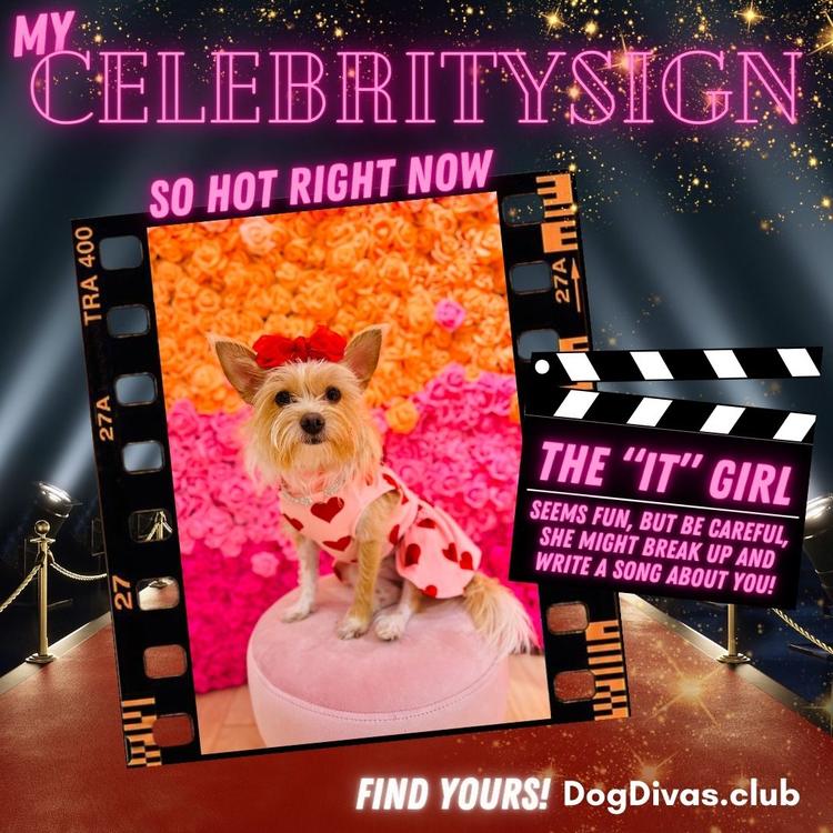 What's Your Dog's Celebrity Sign?