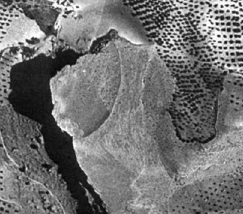 History of the archaeological site