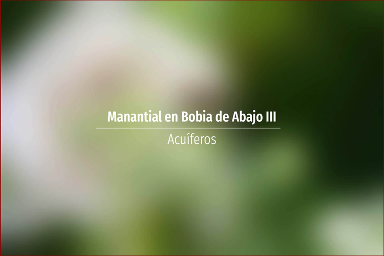Manantial en Bobia de Abajo III