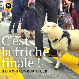 C'est la friche finale !