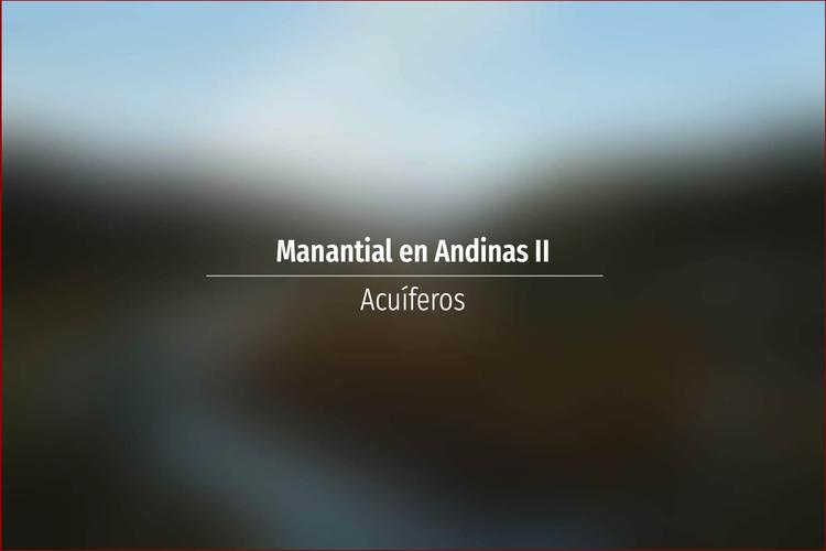 Manantial en Andinas II